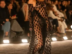 schiaparelli-verao-2026-_00045-schiaparelli-spring-2026-ready-to-wear-credit-brand-768x1152